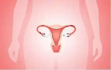 女性_女人_生育能力