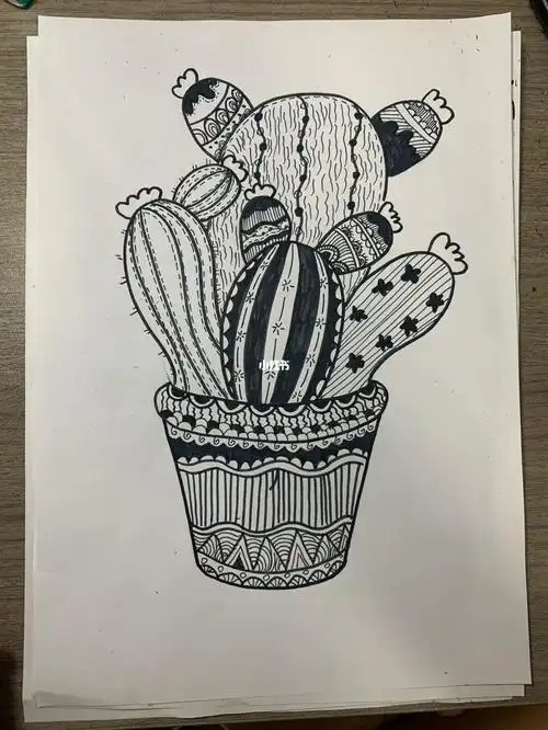 儿童线描画仙人掌
