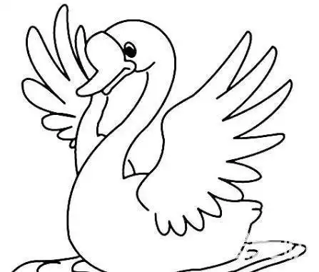 黑白简笔画白天鹅