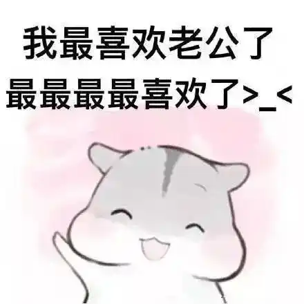 仓鼠叫老公的表情包