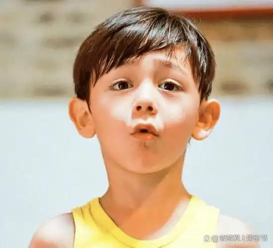 刘烨儿子诺一的成长一直备受关注.