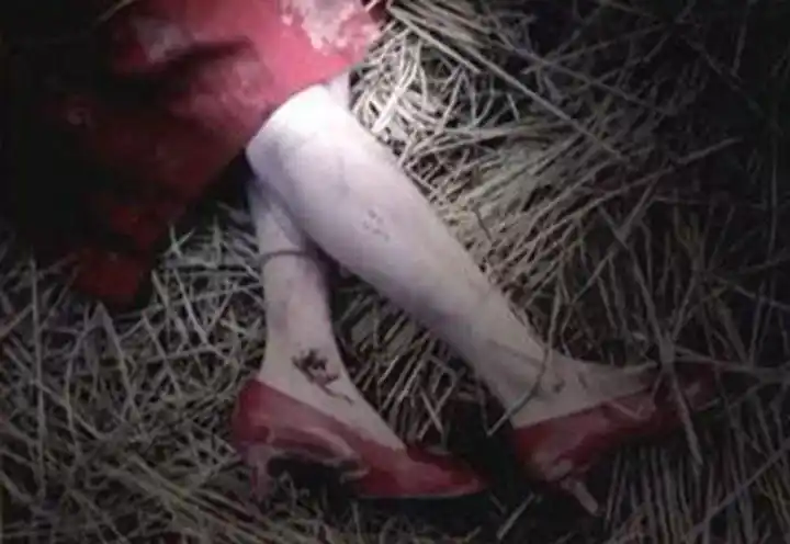 本文是萨沙创作的小说,声明完毕 再多申明一点:这篇文章相当血腥恐怖