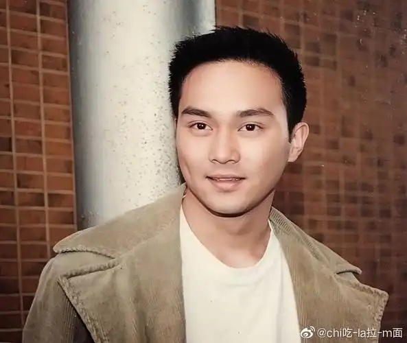 太无聊了 建一个张智霖"帅"图集锦