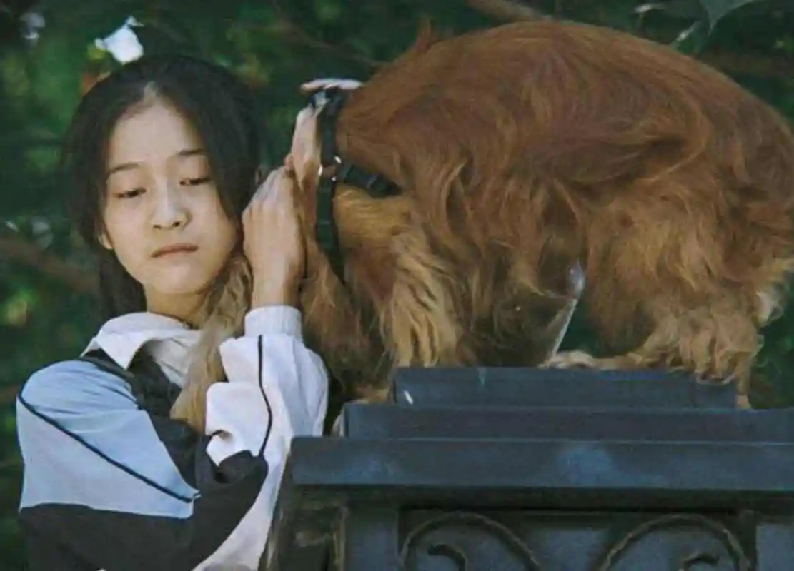 8岁那年,我妈去世了,我爸忙于工作,我奶奶:你爸求着我管你的