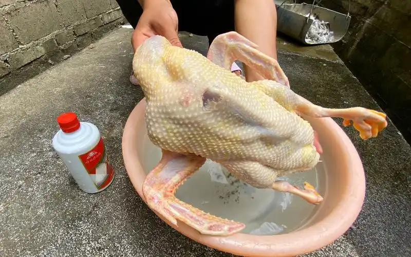鸭子怎样拔毛才快?小哥教你这一招,拔鸭毛像脱衣服一样快