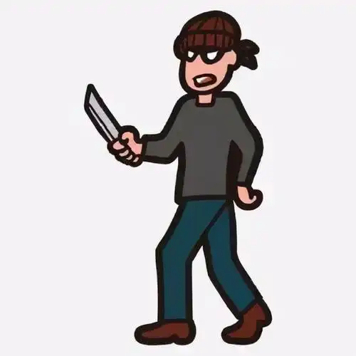 仨劫匪洗劫大巴逃窜,一劫匪当场被车撞死,同伙法庭上"狗咬狗"