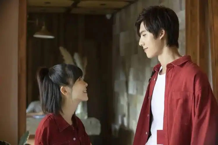 将营销延伸到前端创作领域,《我凭本事单身》的创新方法论不止于此