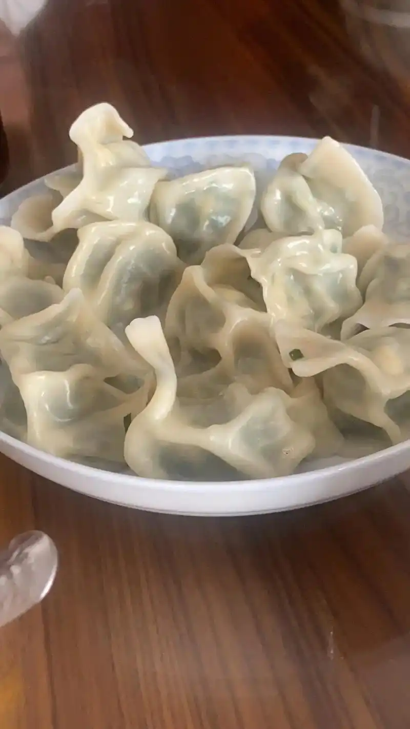 新鲜食材自己动手少吃垃圾食品#手工包饺子 #真材实料才能做出 - 抖音