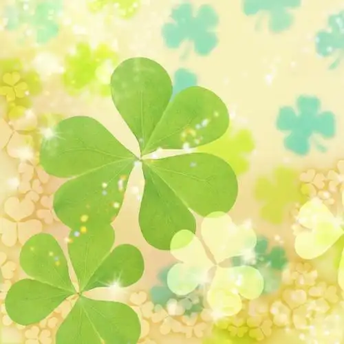 幸运草的祝福壁纸