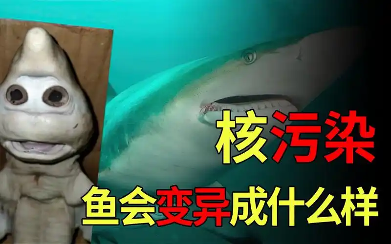 海洋被核污染后,鱼类会变成什么样?真的会发生变异吗?