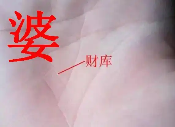 有富婆命的手相女,是你吗
