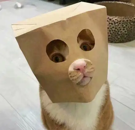 沙雕 搞笑 逗比 魔性 表情包