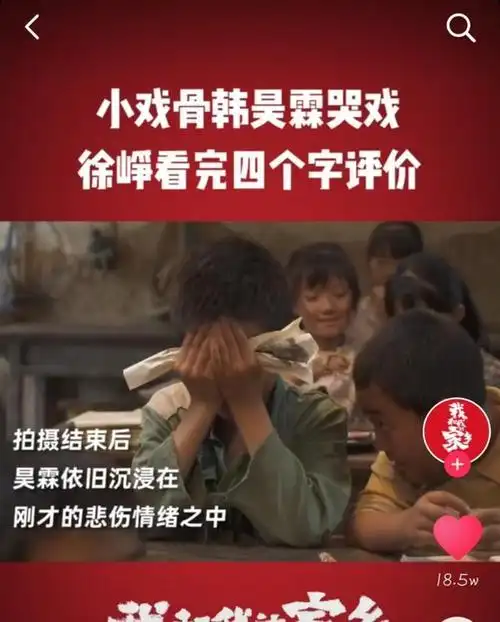 小戏骨韩昊霖哭戏入戏超快徐峥用四个字评价网友这孩子绝了