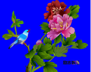 355_282gif 动态图 动图