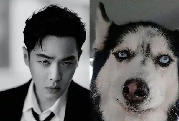 15位素颜最丑的男明星(15位素颜最丑的女明星)-天晟网