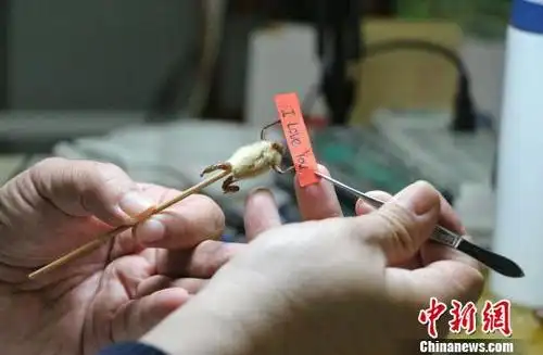 非遗传人指尖塑毛猴"七十二变" 渴盼后继有人