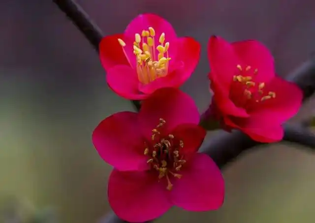 7月事业棒桃花旺,财源滚滚的生肖!好运难挡 ,十有八九变富翁