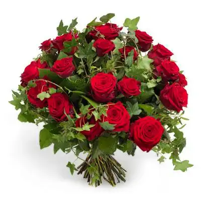 首页 > 欧洲 >  波兰 > 玫瑰花束  商品编号:plrose01 瑰花束 rose