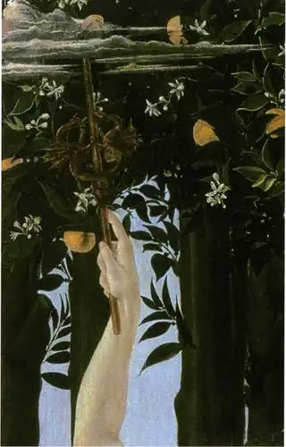 波提切利画作《春》,最是人间四月天