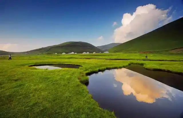 高速—嵩待高速—会泽县—大海乡大海草山位于会泽县,属亚高山草甸