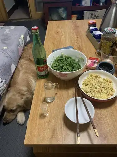 真的好烦人,已经记不清这是第几次一个人在家喝酒了