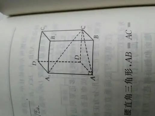 这是正四棱柱,图中∠a1ac是直角麽.为什么?