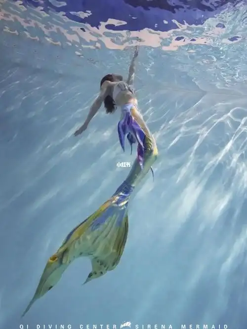 太陆鲨美人鱼尾白雪