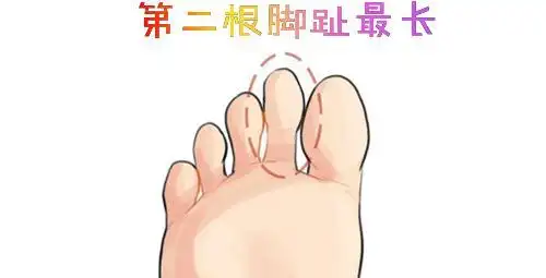 脚趾长短看性格命运准到惊人