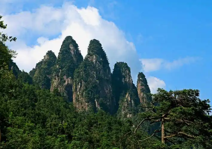 【万水千山总是情】赣州上犹:养生上犹 风景独好_旅游_森林_原生态