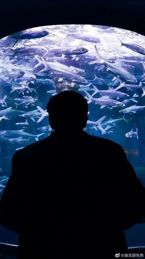 这个背影好像啊