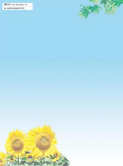 简历背景图片大全(图)