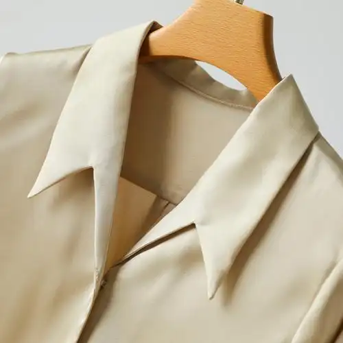 香槟色设计小众缎面衬衫秋季长袖雪纺通勤衬衣衬衫