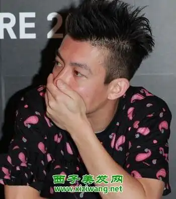 陈冠希阴阳头发型侧面