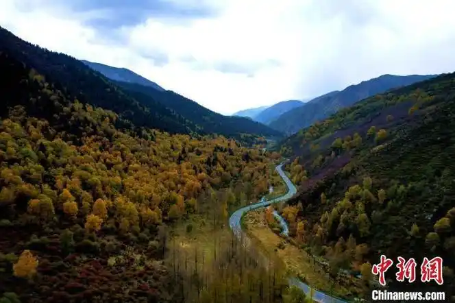 青海网红公路扎碾公路一半秋一半雪