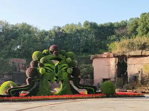 怡情养性好风景——宜兴龙背山森林公园印象