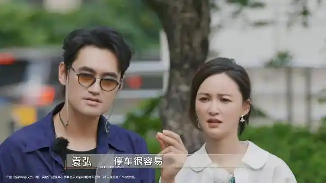 袁弘张歆艺的出游好搭子