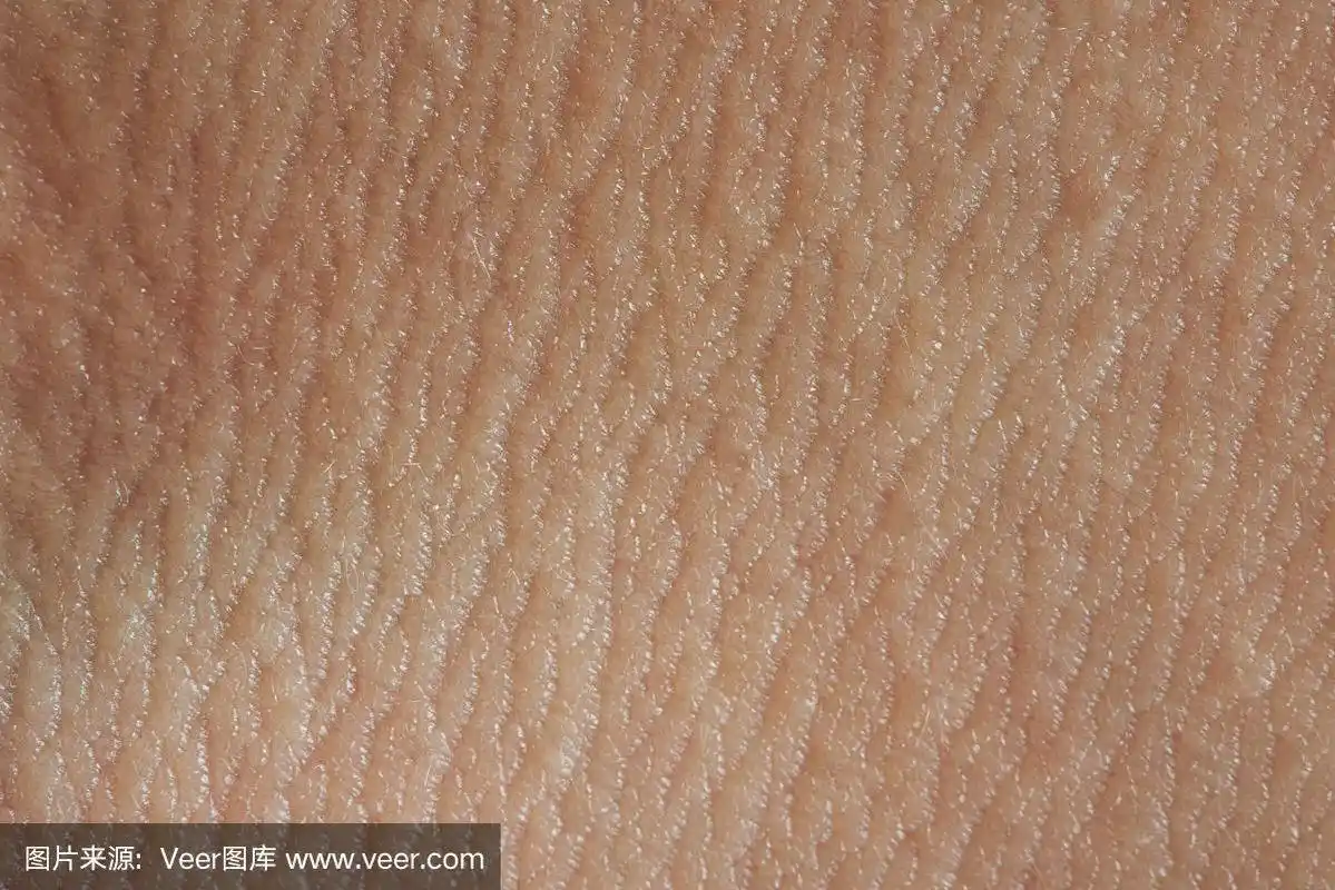人类皮肤纹理