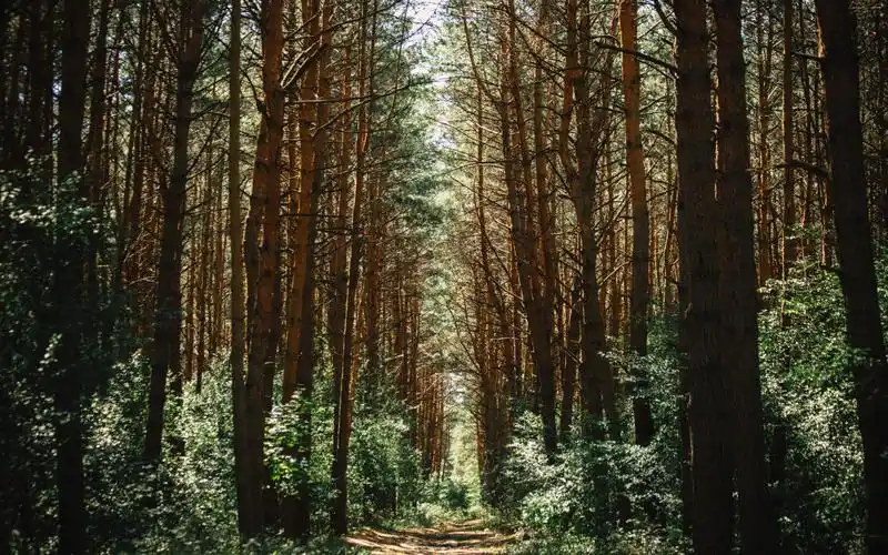 让人安静惬意的图片
