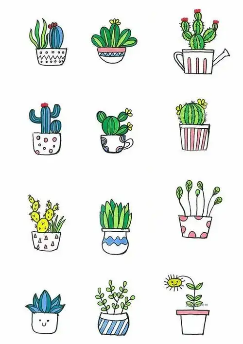 盆栽简笔画图片大全72款彩色手绘可爱盆栽植物简笔画图片