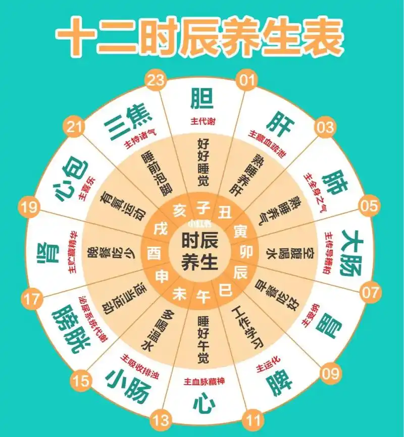 十二时辰养生之一——子时养生 照顾好胆经是最好的进补