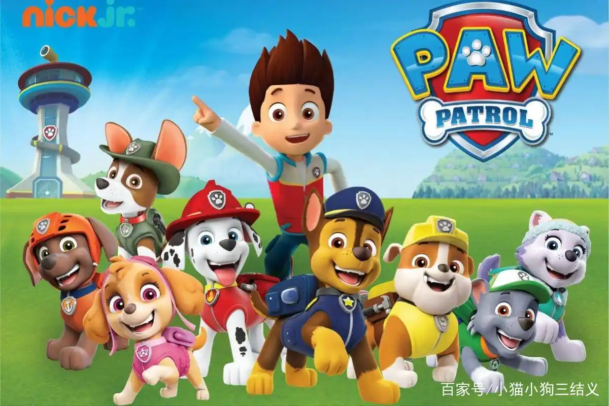 汪汪队立大功,从狗狗口头禅,看不同品种的狗狗个性特点(一)