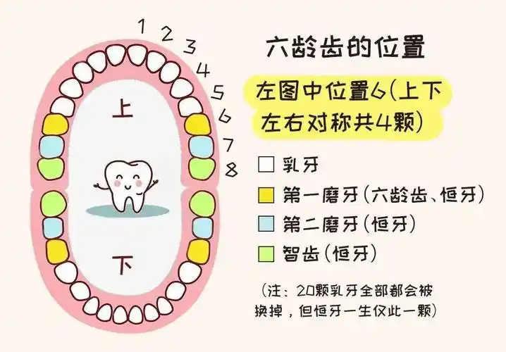 牙齿_孩子_不良习惯