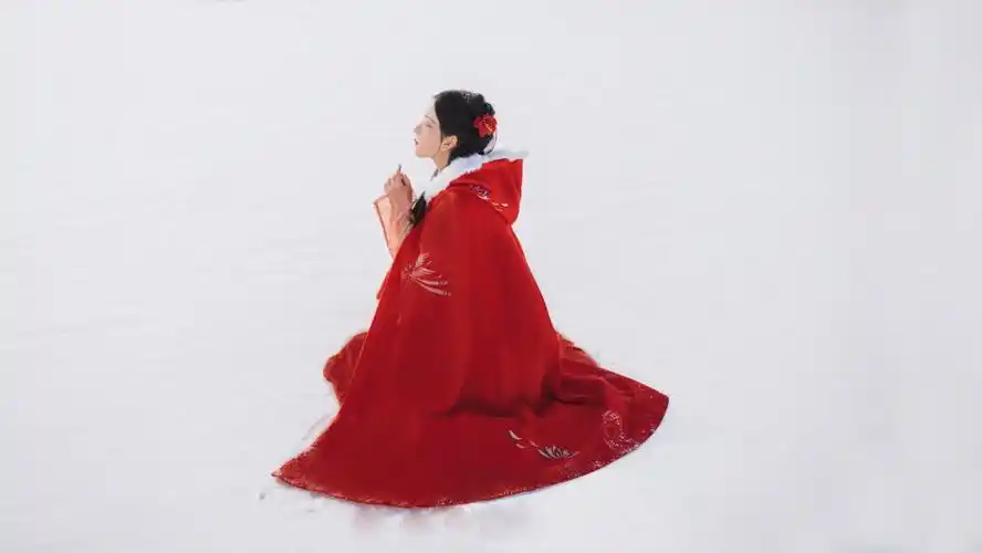 有哪些很美很有意境的红衣白雪的图片