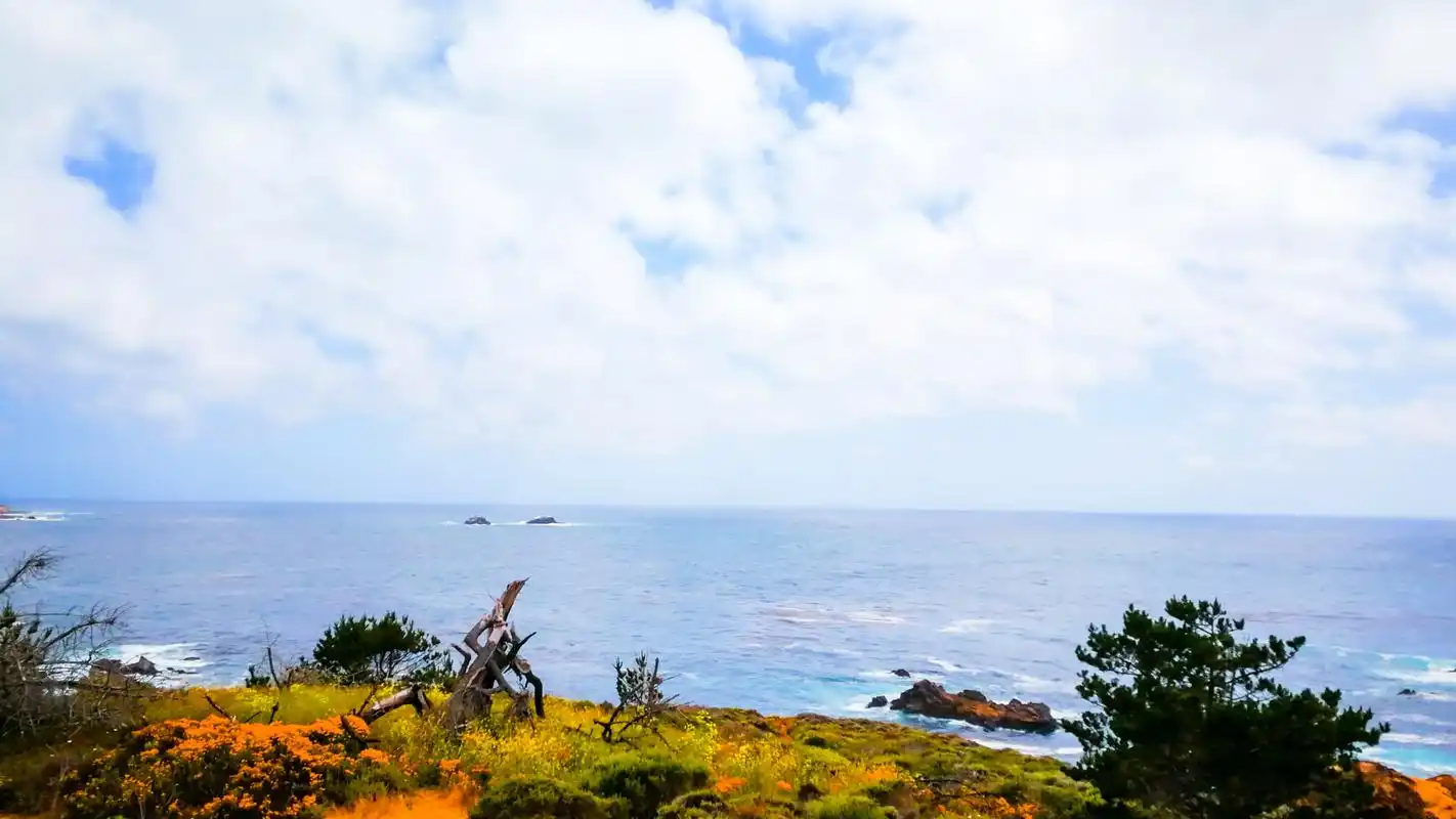 美国17英里海岸风景(1).美国17英里海岸风景是位于加利福 - 抖音