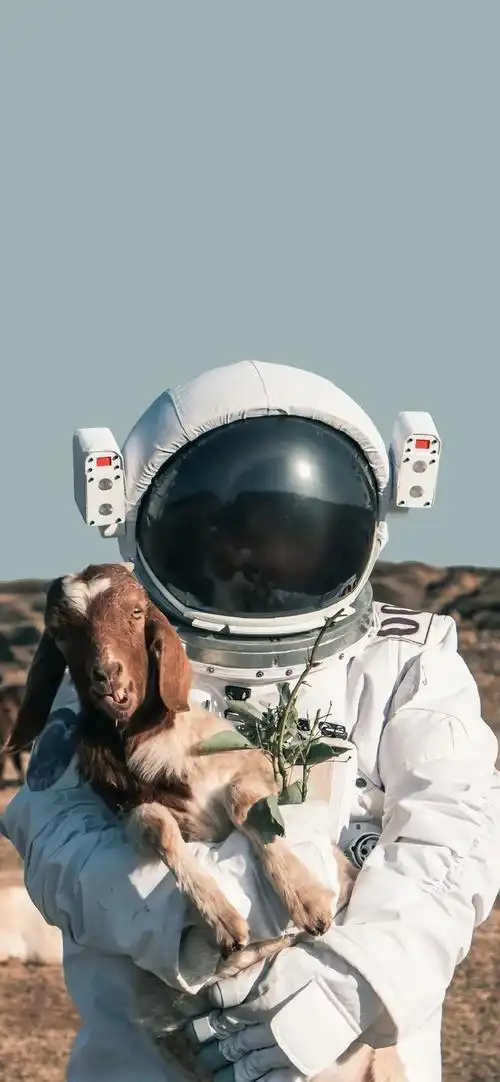 太空人壁纸