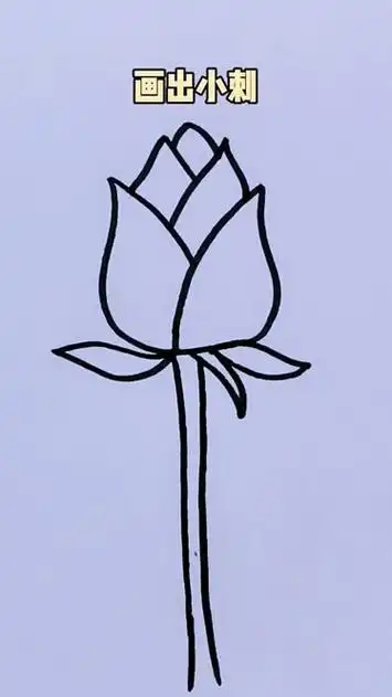 简笔画玫瑰