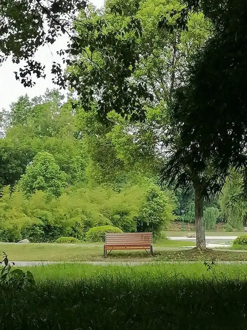 我喜欢把自己放进自然,就这样静静地坐在草地上,看天,看云,看绿色,看