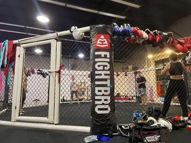 笔记灵感  格斗班报起来～#综合格斗  #兴趣班  #ufc