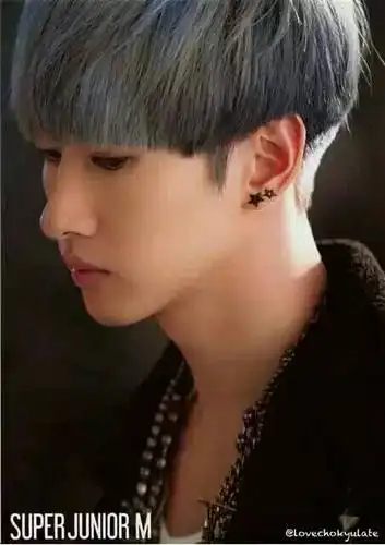 很多白头发适合什么发型