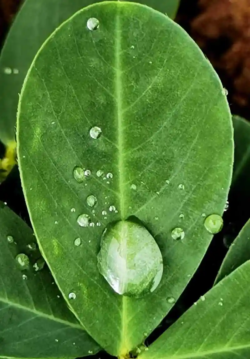 894_1280竖版 竖屏